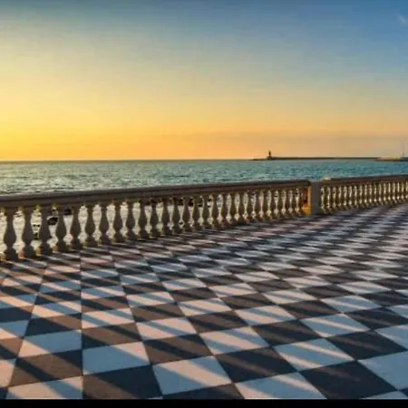 My For In Centro,imbarchi Livorno